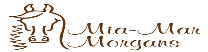 MiaMar Morgans